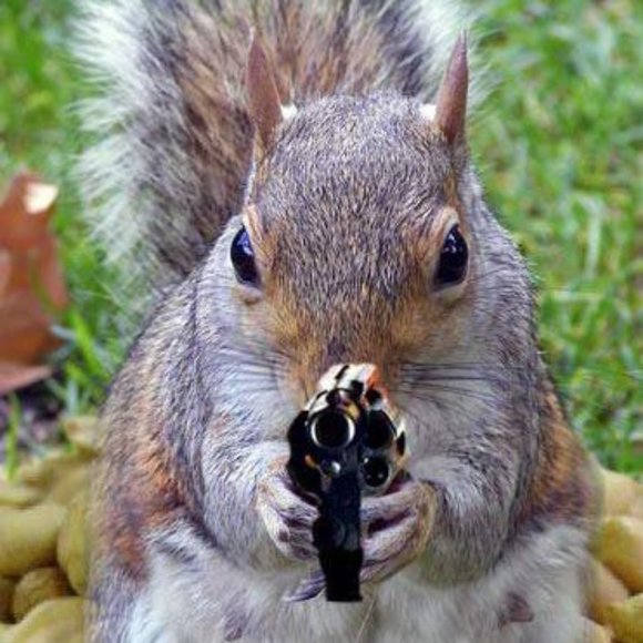 LIKE THIS FLYER to receive SHARE SHOW Notifications! Next Show: November 2025 - Picture 6 of 12